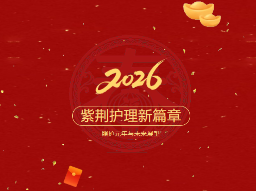 马踏飞燕逐日来，心怀奔雷追风去｜紫荆护理董事长新春寄语